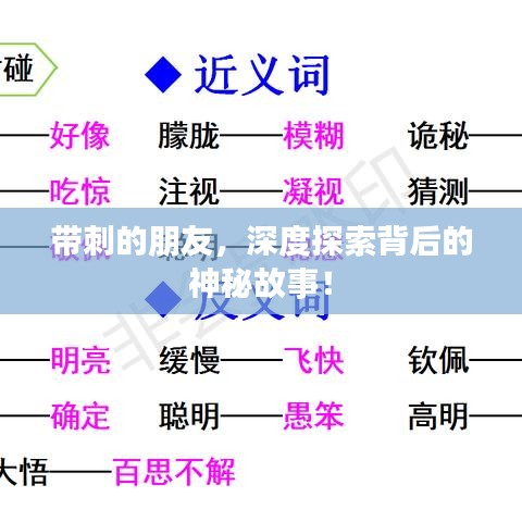 带刺的朋友，深度探索背后的神秘故事！