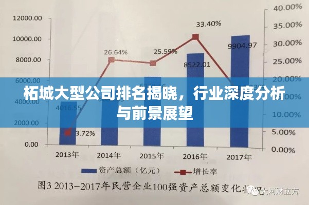 柘城大型公司排名揭晓，行业深度分析与前景展望