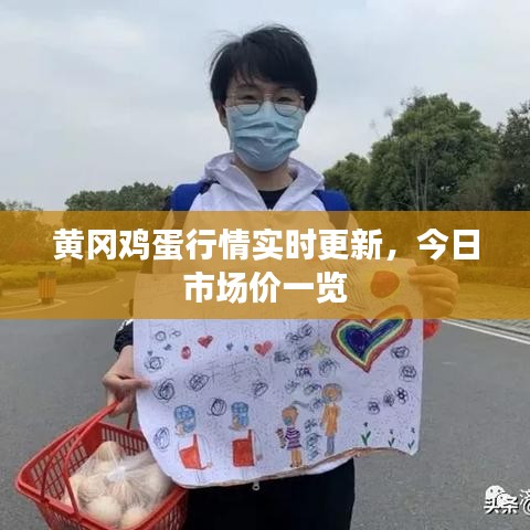 黄冈鸡蛋行情实时更新，今日市场价一览