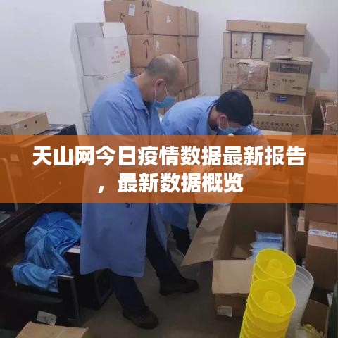 天山网今日疫情数据最新报告，最新数据概览