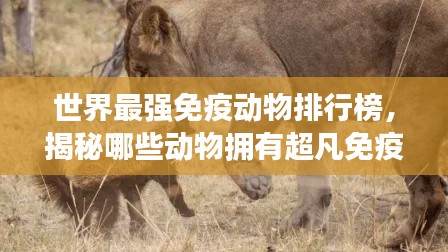 世界最强免疫动物排行榜，揭秘哪些动物拥有超凡免疫力！