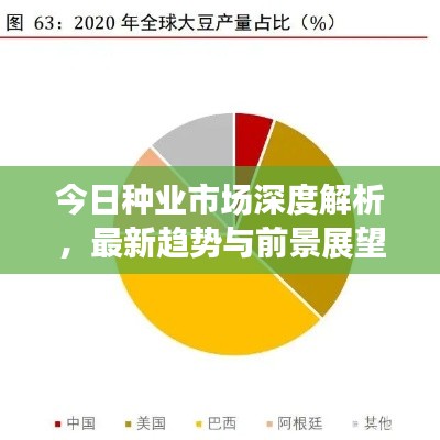 今日种业市场深度解析，最新趋势与前景展望