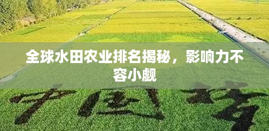 兵贵神速