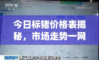 催化材料 第8页
