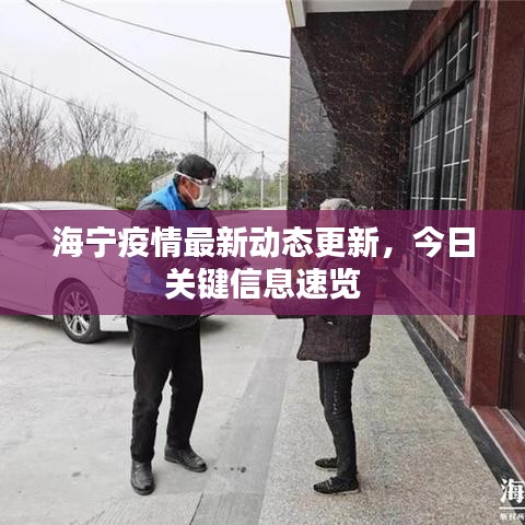 海宁疫情最新动态更新，今日关键信息速览