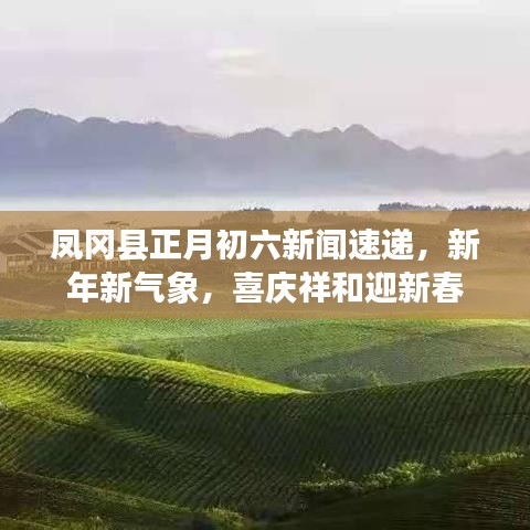 凤冈县正月初六新闻速递，新年新气象，喜庆祥和迎新春