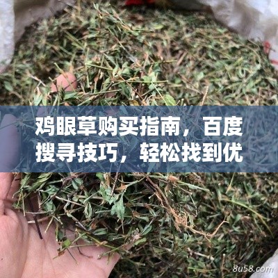 鸡眼草购买指南，百度搜寻技巧，轻松找到优质鸡眼草！