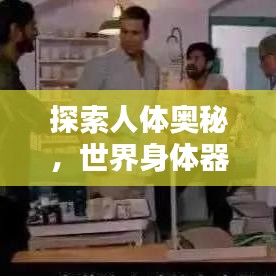探索人体奥秘，世界身体器官排名揭秘