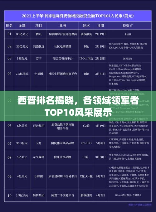 西普排名揭晓，各领域领军者TOP10风采展示