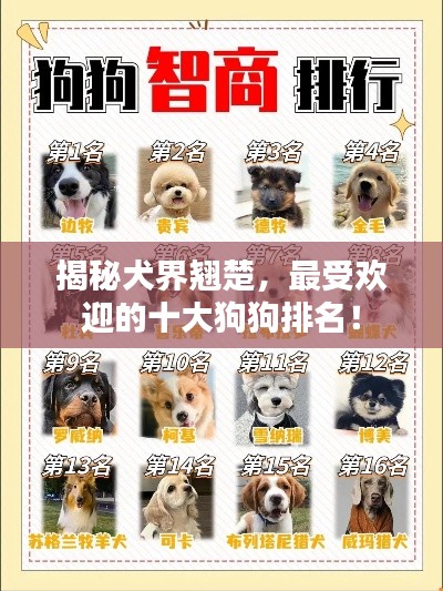 箭拔弩张