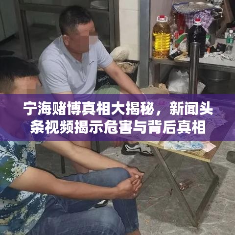 宁海赌博真相大揭秘，新闻头条视频揭示危害与背后真相