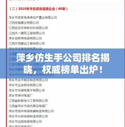萍乡仿生手公司排名揭晓，权威榜单出炉！