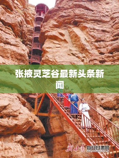 张掖灵芝谷最新头条新闻