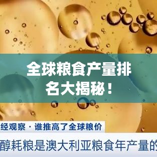 全球粮食产量排名大揭秘！