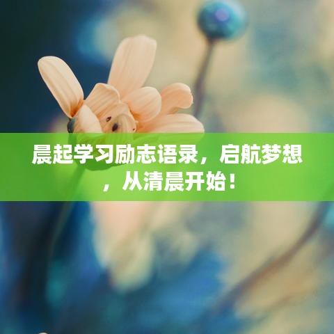 晨起学习励志语录，启航梦想，从清晨开始！