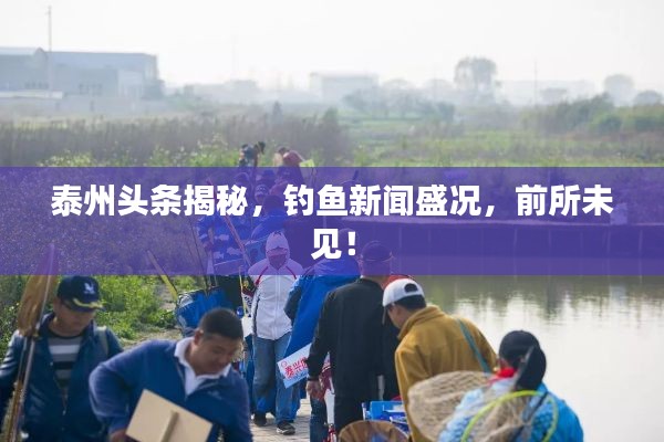 泰州头条揭秘，钓鱼新闻盛况，前所未见！