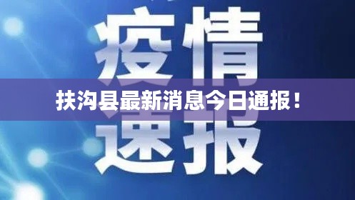 扶沟县最新消息今日通报！