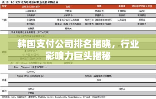 韩国支付公司排名揭晓，行业影响力巨头揭秘