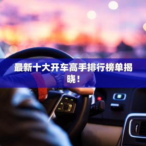 最新十大开车高手排行榜单揭晓！