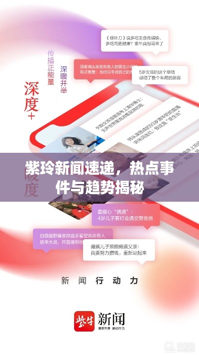 紫玲新闻速递，热点事件与趋势揭秘