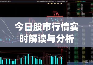 今日股市行情实时解读与分析