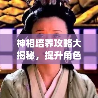 神相培养攻略大揭秘，提升角色实力与战斗技巧的最新指南