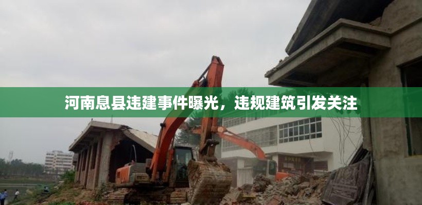 公司简介 第8页