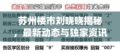 苏州楼市刘晓晓揭秘，最新动态与独家资讯！