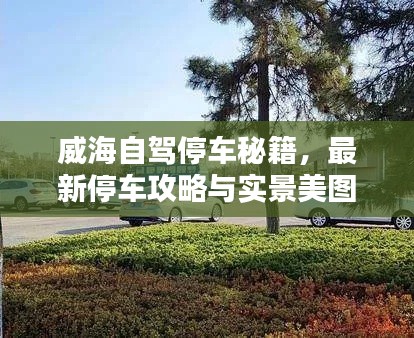 威海自驾停车秘籍，最新停车攻略与实景美图欣赏