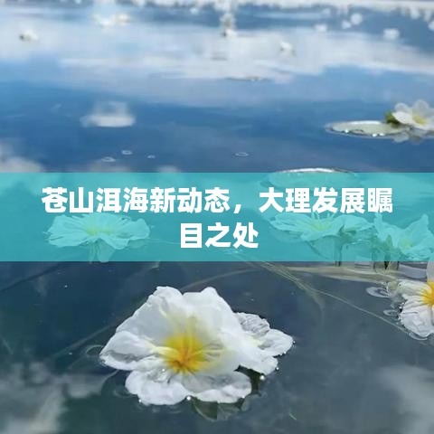 苍山洱海新动态，大理发展瞩目之处