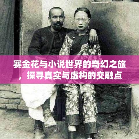 赛金花与小说世界的奇幻之旅，探寻真实与虚构的交融点