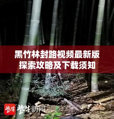 黑竹林封路视频最新版探索攻略及下载须知