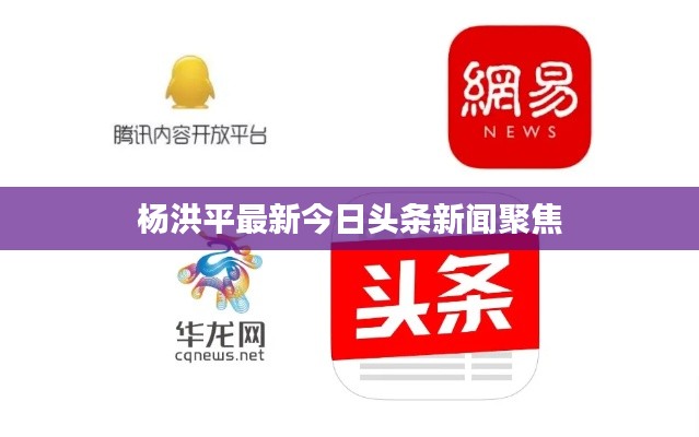 杨洪平最新今日头条新闻聚焦