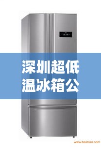 深圳超低温冰箱公司排行榜及行业影响力解析