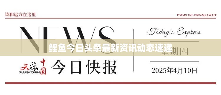 鲤鱼今日头条最新资讯动态速递