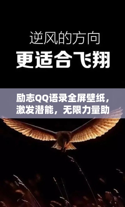励志QQ语录全屏壁纸，激发潜能，无限力量助你腾飞！