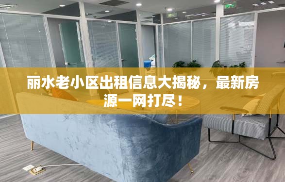 丽水老小区出租信息大揭秘，最新房源一网打尽！