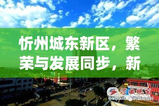 忻州城东新区，繁荣与发展同步，新闻头条聚焦城东新貌