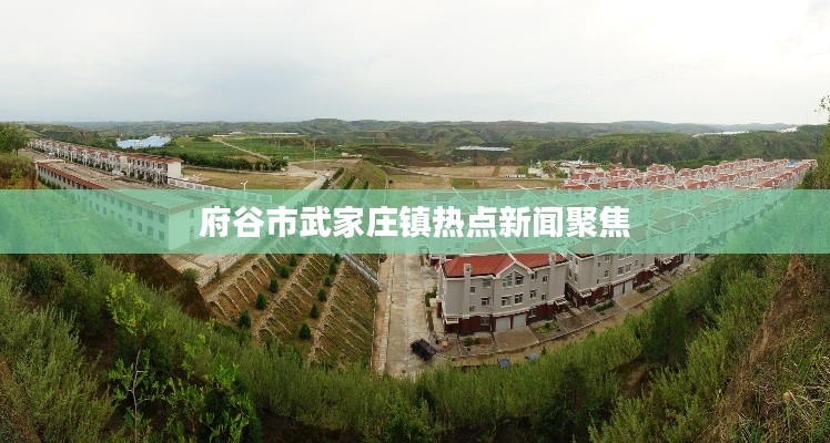 府谷市武家庄镇热点新闻聚焦