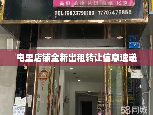 屯里店铺全新出租转让信息速递
