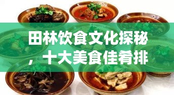 田林饮食文化探秘，十大美食佳肴排名榜单