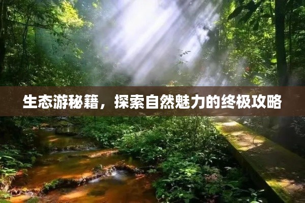 生态游秘籍，探索自然魅力的终极攻略