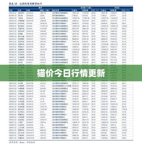 猫价今日行情更新