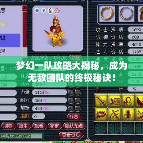 梦幻一队攻略大揭秘，成为无敌团队的终极秘诀！