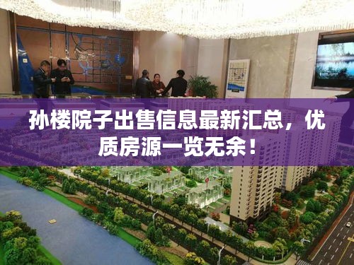 孙楼院子出售信息最新汇总，优质房源一览无余！