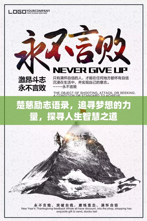 2025年4月 第7页