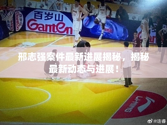 邢志强案件最新进展揭秘，揭秘最新动态与进展！