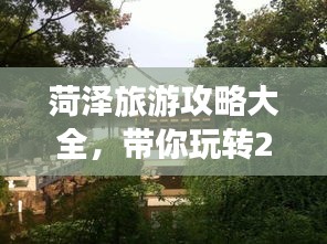 菏泽旅游攻略大全，带你玩转2019必游景点！