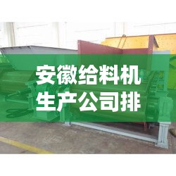 安徽给料机生产公司排行榜揭晓！