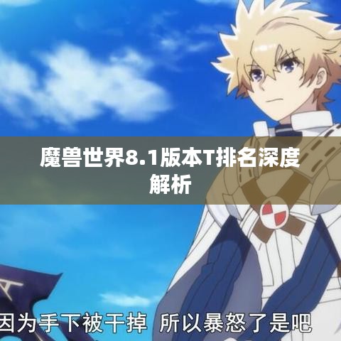 魔兽世界8.1版本T排名深度解析